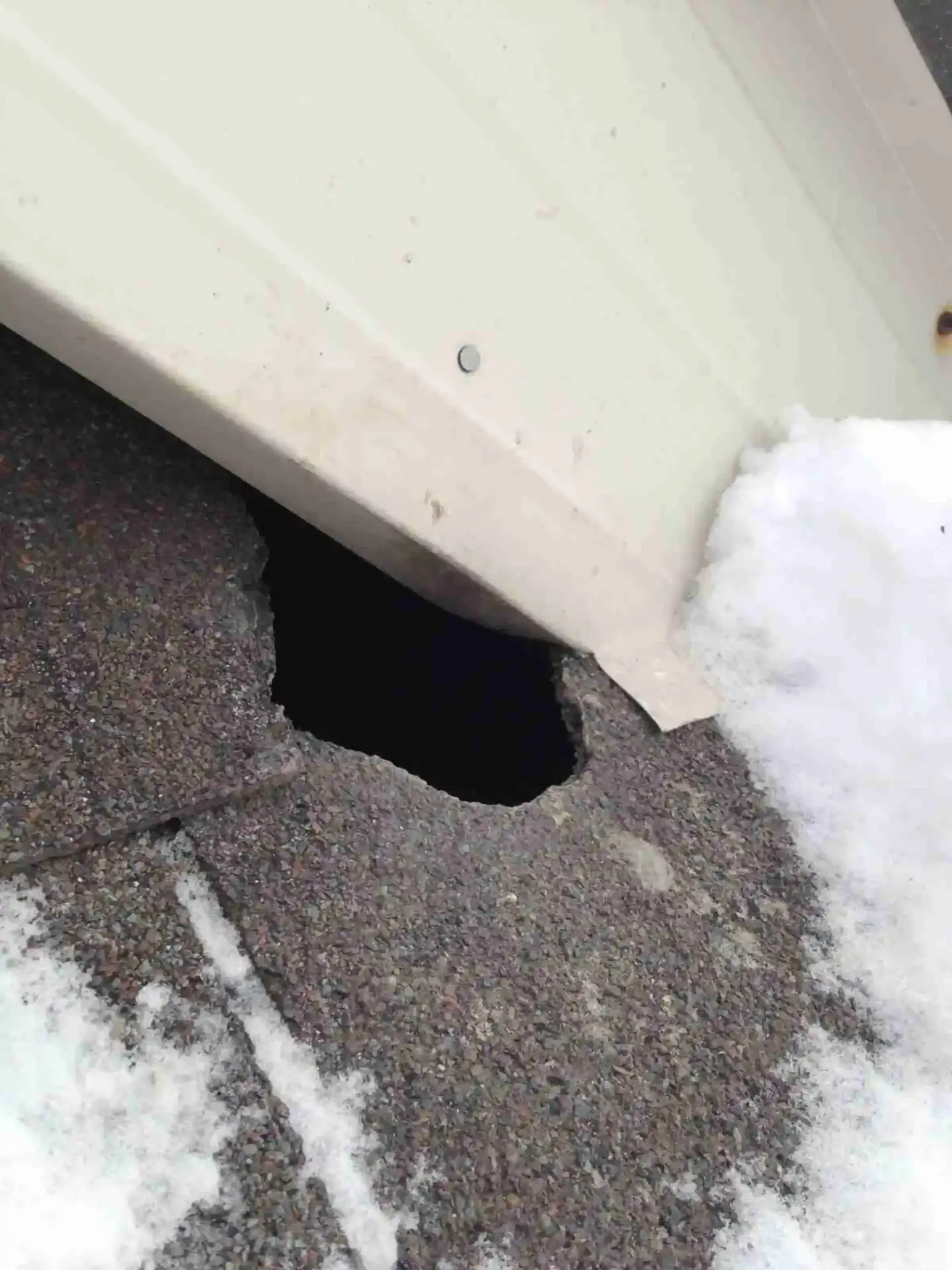 Chipmunk-entering-hole-in-roof